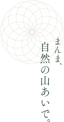 まんま、自然の山あいで。