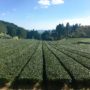 令和8年　夏季休暇のお知らせ