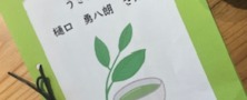 総合学習≪お茶≫