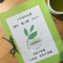 総合学習≪お茶≫