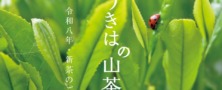 令和8年　有機新茶のご案内≪予約≫