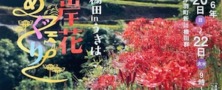 2026　彼岸花めぐり