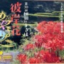 2026　彼岸花めぐり